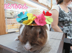 150526a.gif