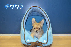 150526c.gif