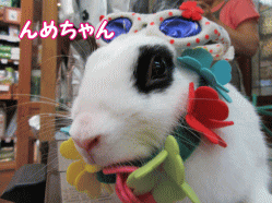 150530c.gif