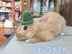 150531c1.gif