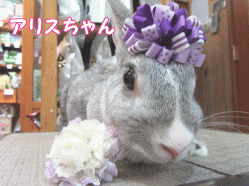 150531f1.gif