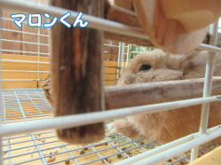 150531j1.gif