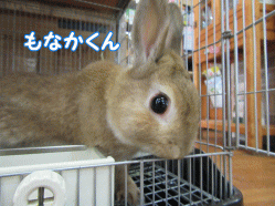 150601e.gif