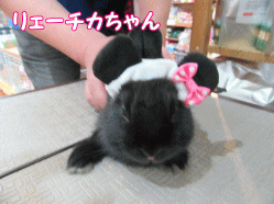 150602c.gif