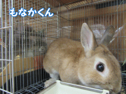 150602e.gif