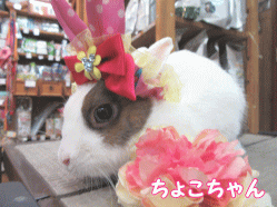 150605a1.gif