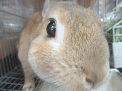 150605c2.gif