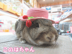 150606b1.gif