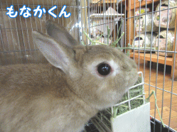 150606f1.gif