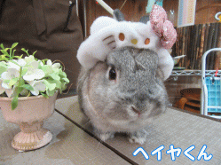 150607h1.gif