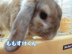 150608g.gif