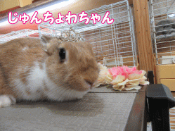 150609a.gif