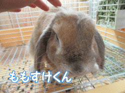 150611c.gif