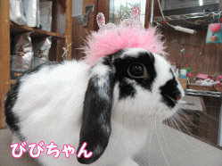 150612c1.gif