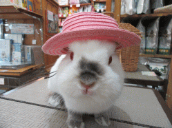 150613h.gif