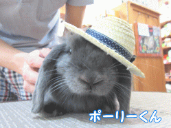 150614a1.gif