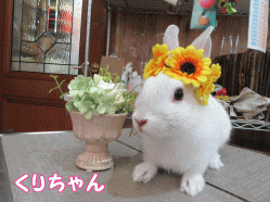 150614i1.gif