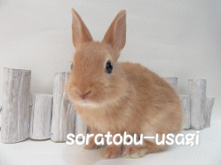 150615e.gif