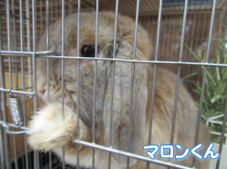 150616c.gif