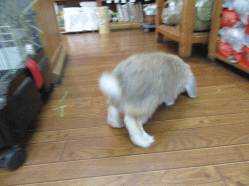 150621h2.gif