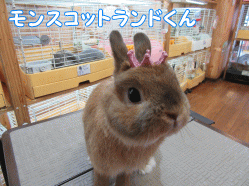 150621j1.gif