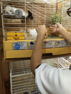 150626d.gif