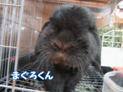 150627w.gif