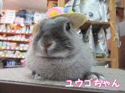 150628a2.gif