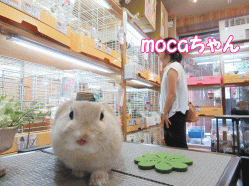 150628k.gif
