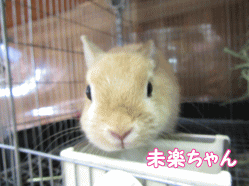 150628m.gif