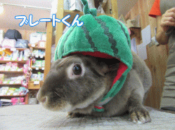 150629a.gif