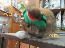 150629h.gif