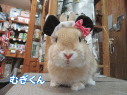 150630a.gif