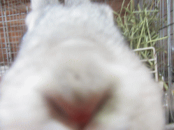 150704l.gif