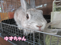 150706e.gif