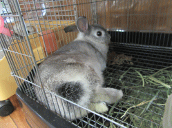 150706f.gif