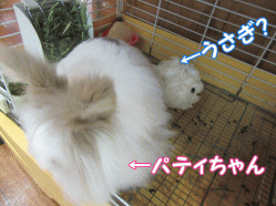 150706h.gif