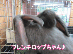 150706k.gif