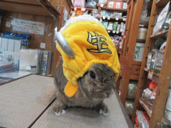 150707b.gif