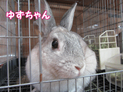 150707e.gif