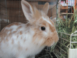 150707h.gif