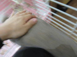 150711l.gif