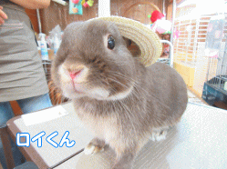 150712a.gif