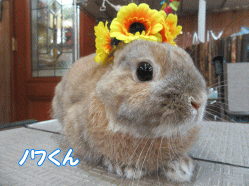 150712g.gif