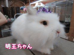 150712k.gif