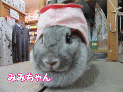 150712m.gif