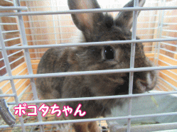 150712w.gif