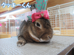 150713a.gif