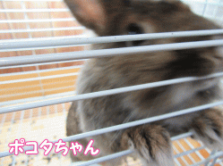 150717c.gif