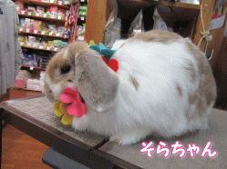 150718a.gif
